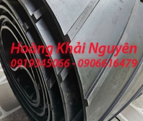 Cao su băng tải vũng tàu