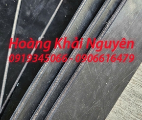 Cao su băng tải bình dương